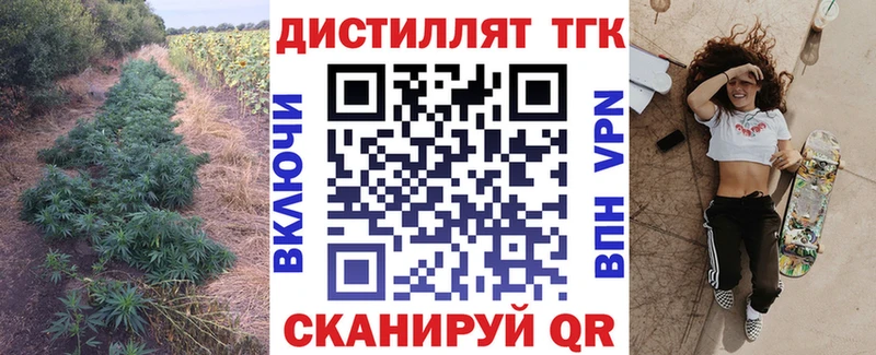 Дистиллят ТГК гашишное масло  купить закладку  Новозыбков 