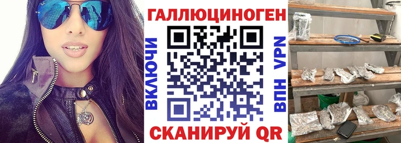 Псилоцибиновые грибы мицелий  Новозыбков 